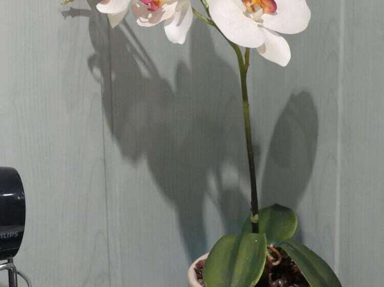 Bed and Breakfast Chambres D Hôtes Les Gragniotes