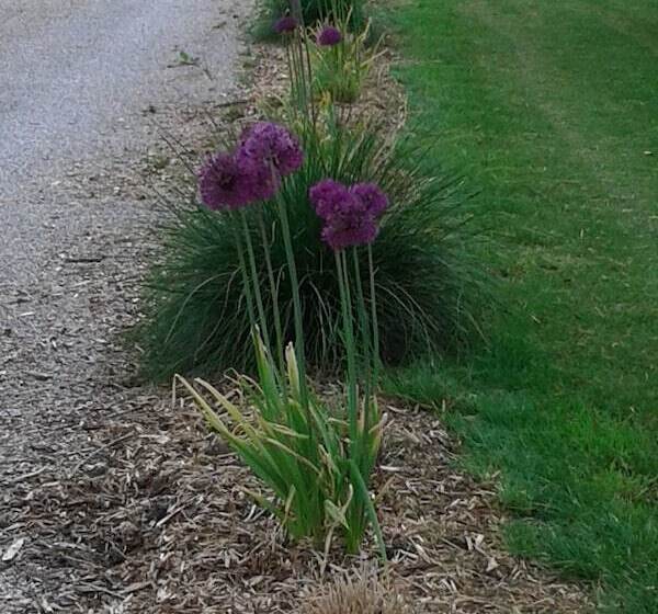 Bed and Breakfast Chambres D´hotes Herbes Folles
