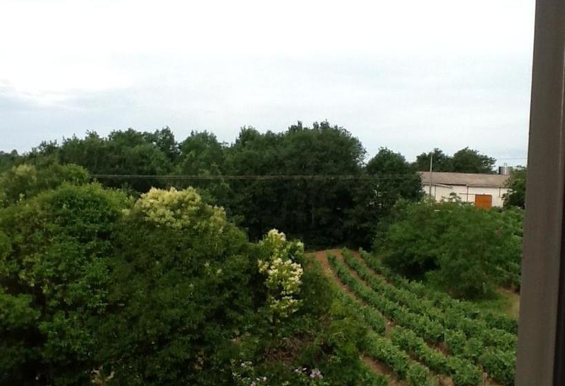 Bed and Breakfast Château De Rouffiac
