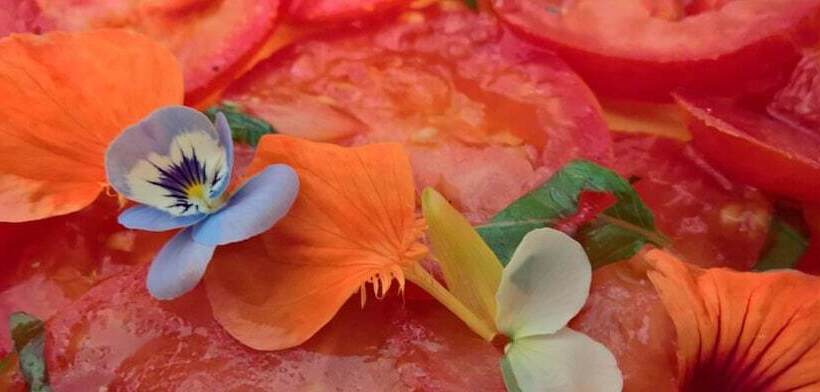 住宿加早餐  Domaine De L'espal