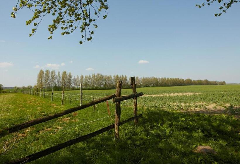 Bed and Breakfast Gutshaus Lexow