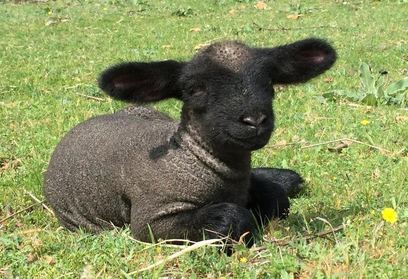 مبيت وإفطار Hermitage Saint Pierre