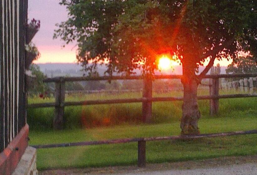 ベッドアンドブレックファースト La Baronnie