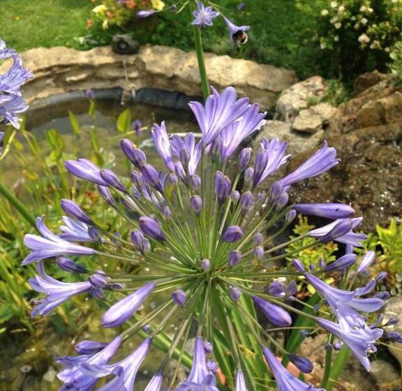 ベッドアンドブレックファースト La Baronnie