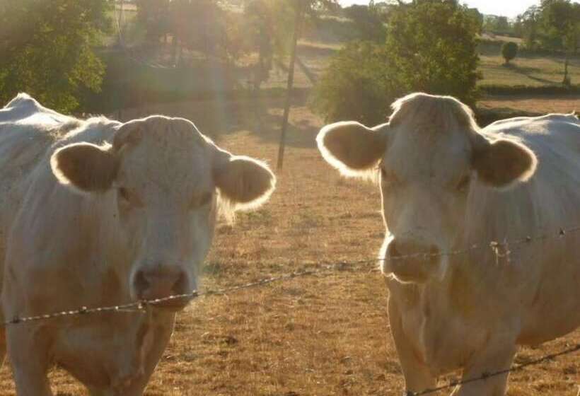 ベッドアンドブレックファースト La Bergerie Du Bois Joannin 1497 Route Des Fleuriats