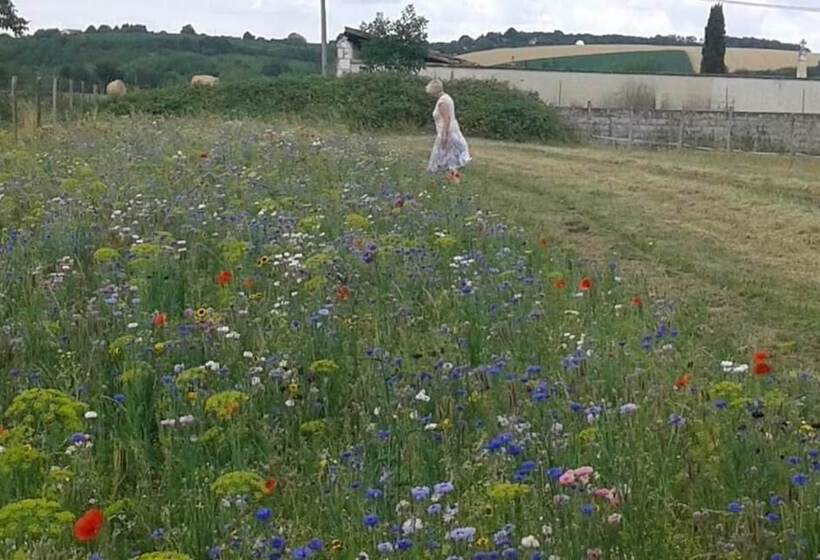 민박 La Cle Des Jardins