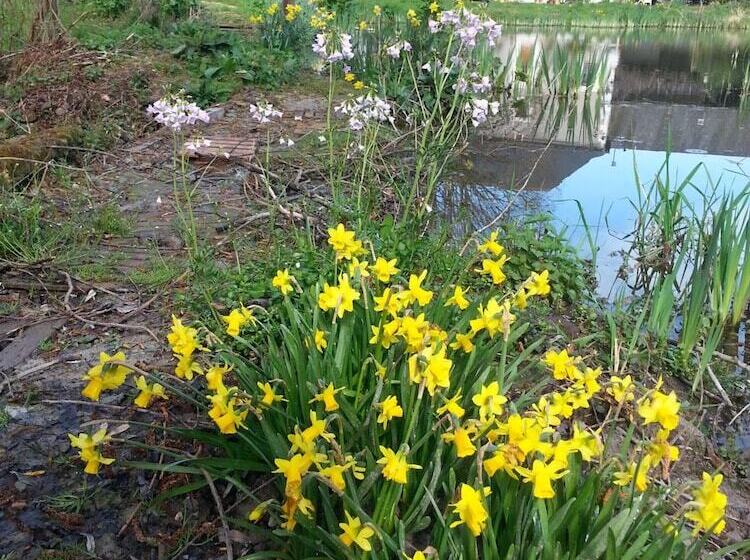 민박 La Cle Des Jardins