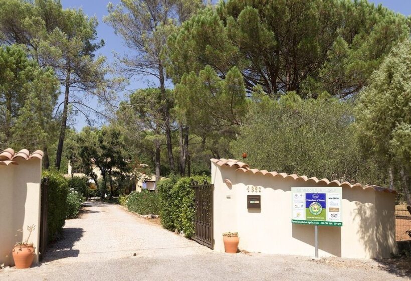 צימר La Maison De La Cigale