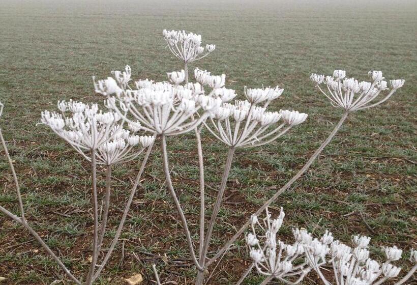 צימר La Musardine En Vexin