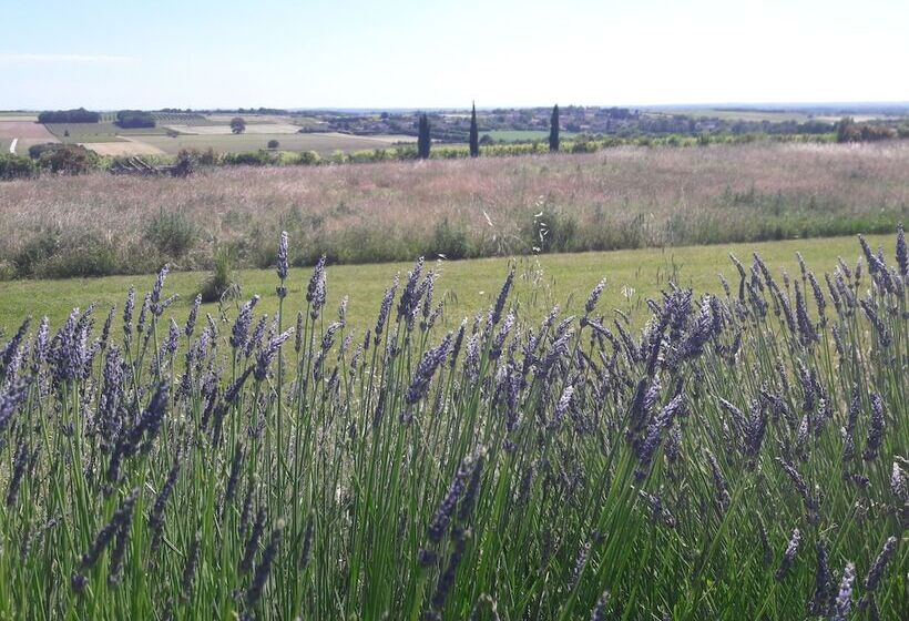 住宿加早餐 Le Dojo Du Plessis