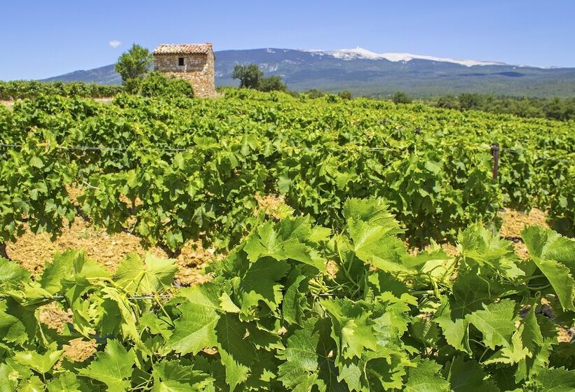 ベッドアンドブレックファースト Le Mas Terre Des Anges