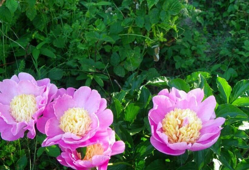 민박 Maison D'hôtes De La Verrière