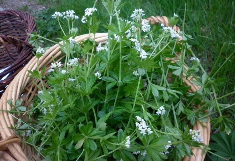 민박 Maison D'hôtes De La Verrière