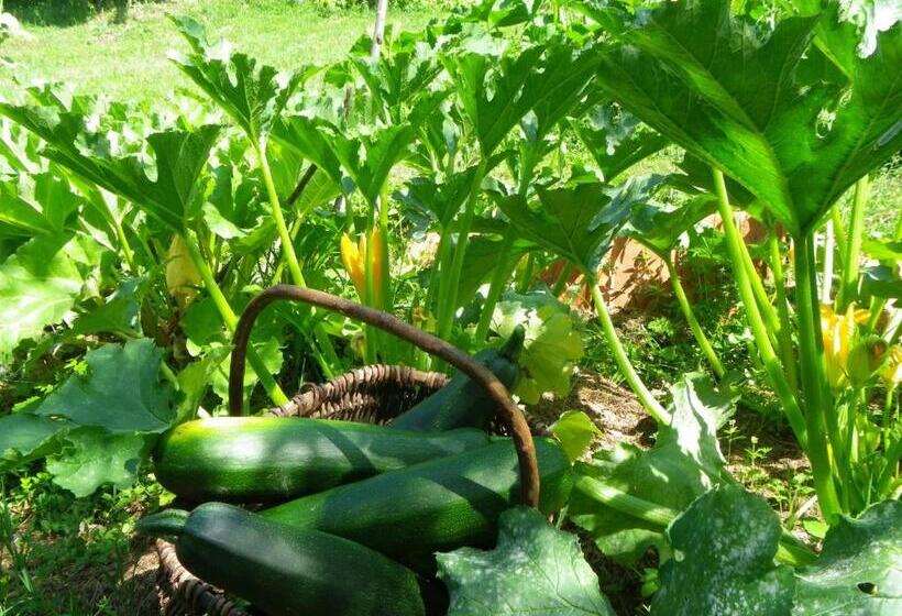 민박 Maison D'hôtes De La Verrière