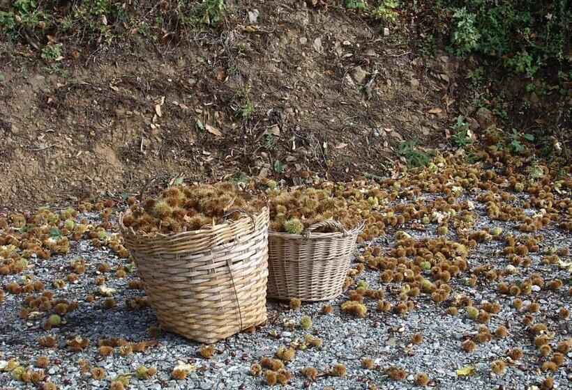 민박 Maison D'hôtes De La Verrière