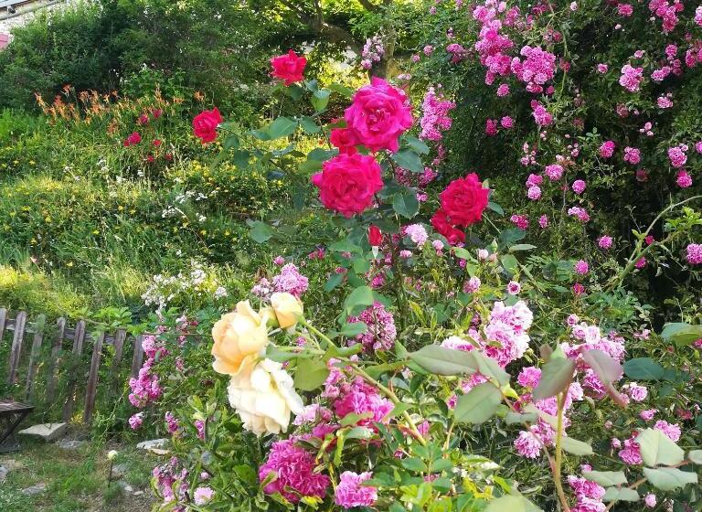 민박 Maison D'hôtes De La Verrière