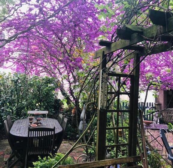 צימר Maison D'hôtes Les Volets Verts Et Sa Brocante