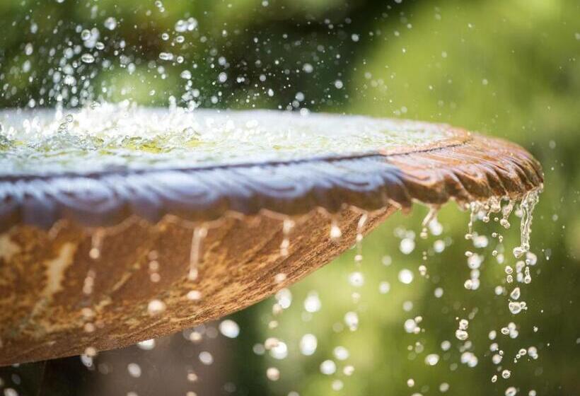 住宿加早餐  Manoir Desnachez