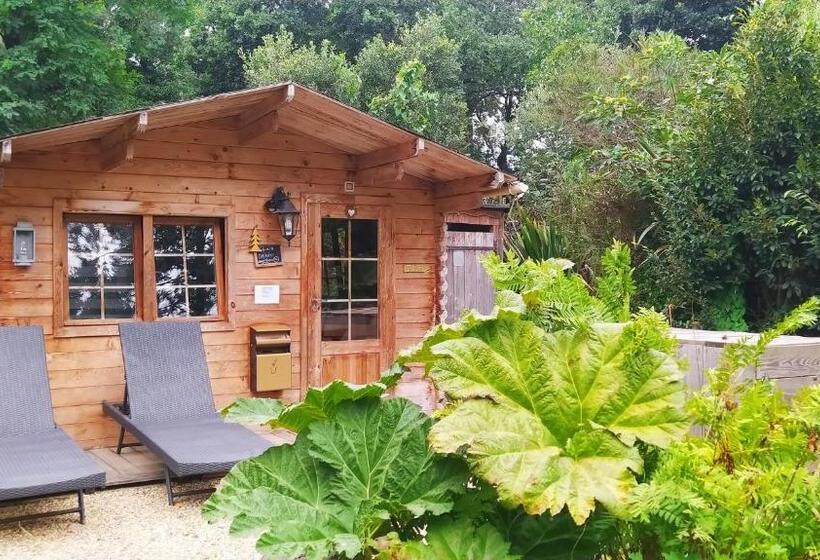 住宿加早餐  Manoir Desnachez