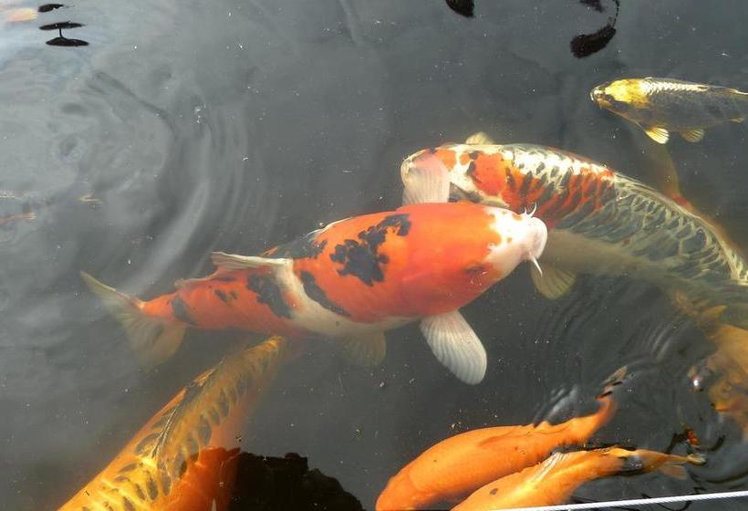 Bed and Breakfast Hôtelya Lille Villeneuve D Ascq