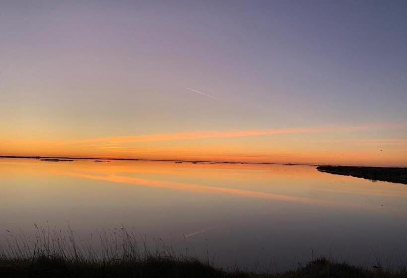 Bed and Breakfast Un Nid En Camargue