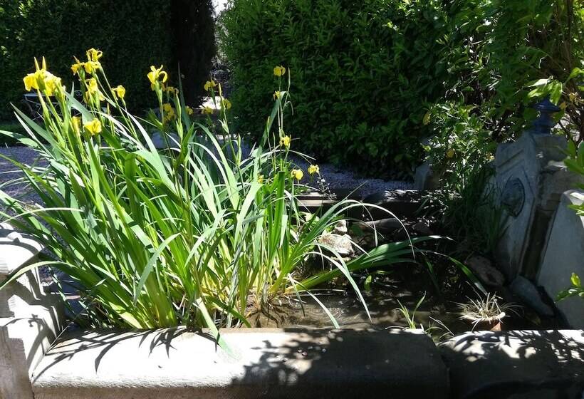 مبيت وإفطار Villa Angel  Spa