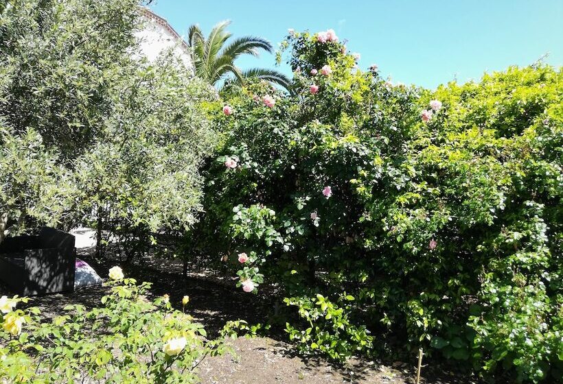 مبيت وإفطار Villa Angel  Spa