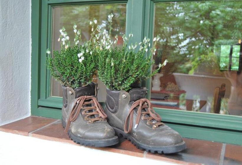 Der Schwan Hotel & Restaurant