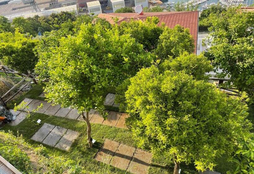 客栈  Relais Manfredi