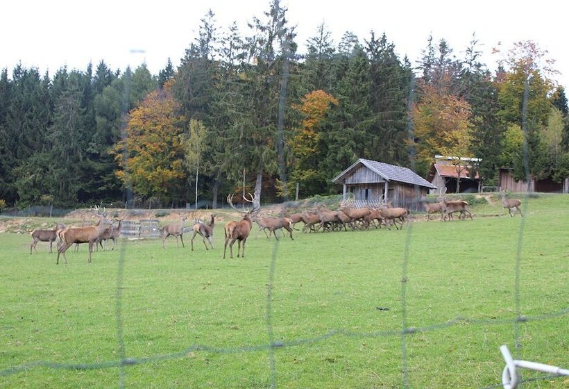 호텔 Zur Waldesruh