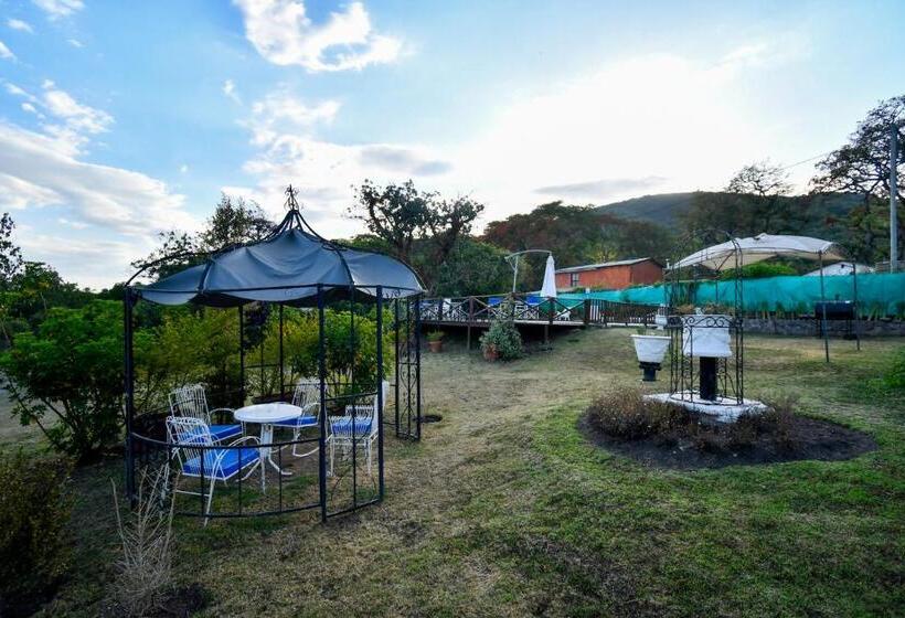 酒店 Hostal El Cerrito San Lorenzo