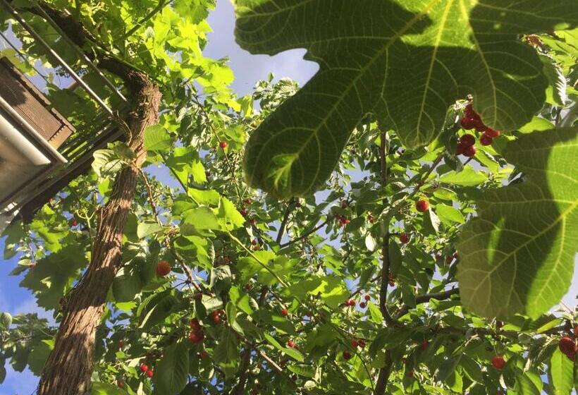 בית מלון כפרי Jugendstil Hof