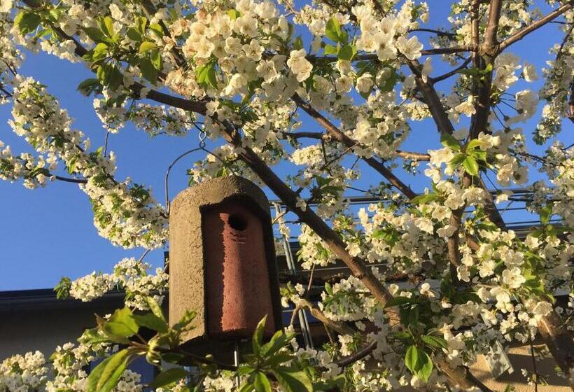 בית מלון כפרי Jugendstil Hof