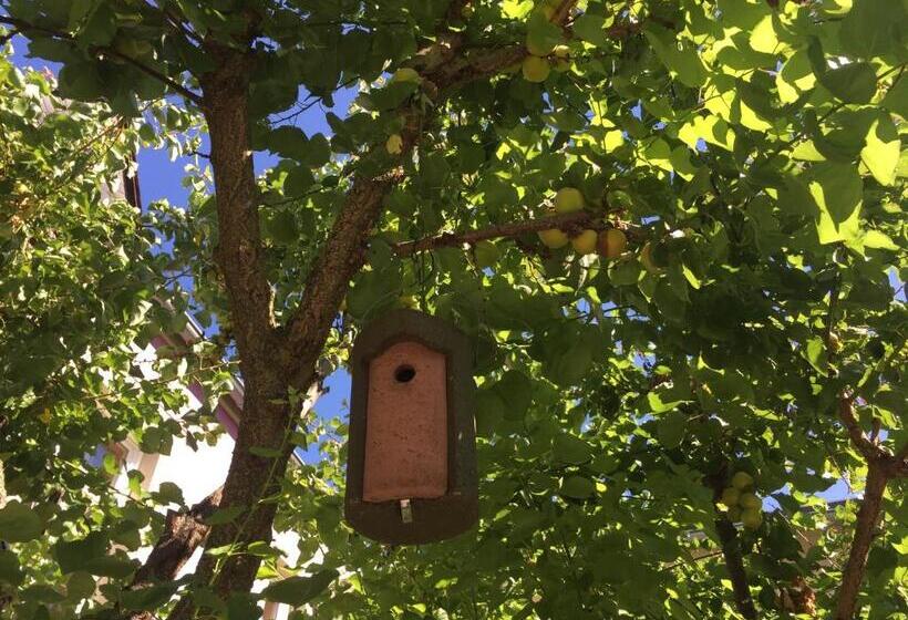 בית מלון כפרי Jugendstil Hof