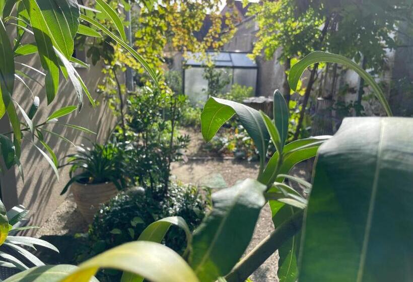 בית מלון כפרי Jugendstil Hof