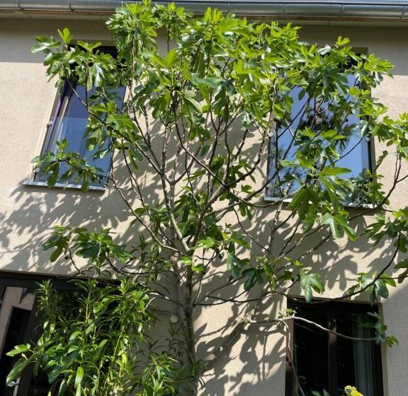 בית מלון כפרי Jugendstil Hof