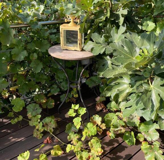 בית מלון כפרי Jugendstil Hof