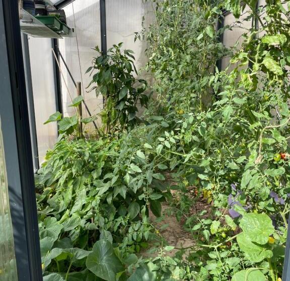 בית מלון כפרי Jugendstil Hof