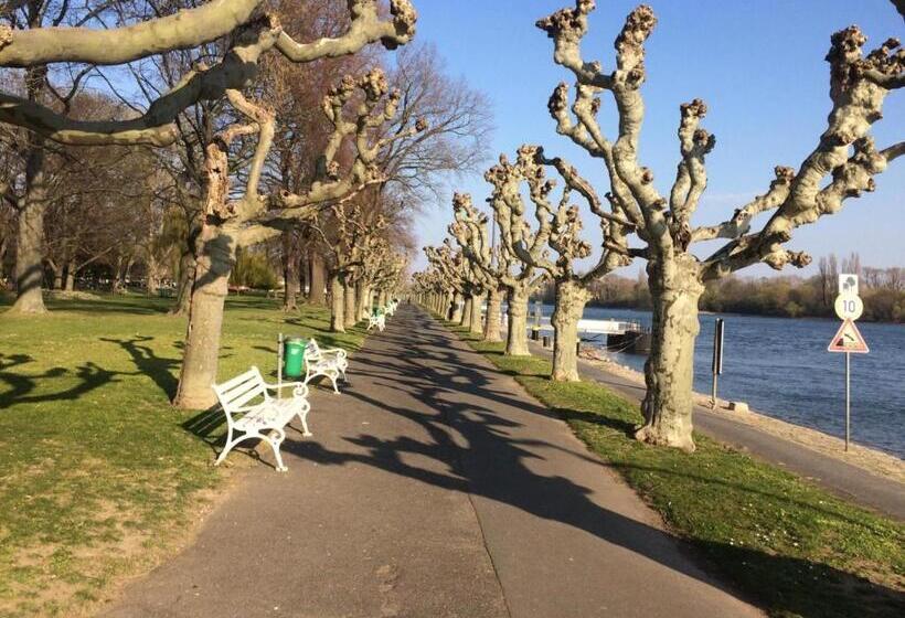 ホテル Krone Rüdesheim