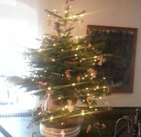 בית מלון כפרי Landgasthof Zur Fichte