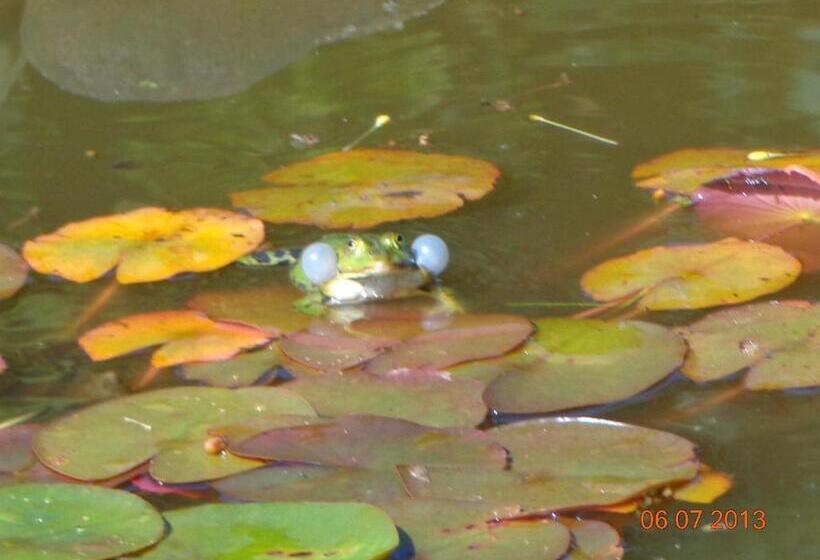 Отель Leo S Ruh