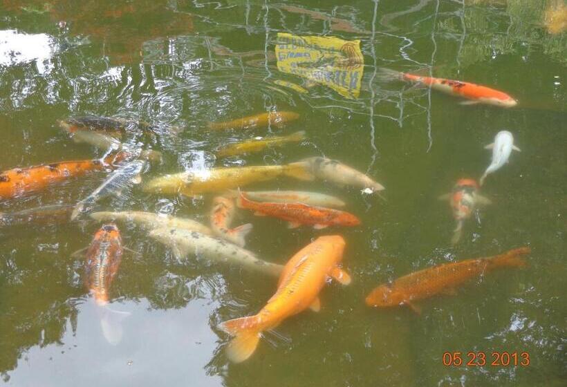 Отель Leo S Ruh