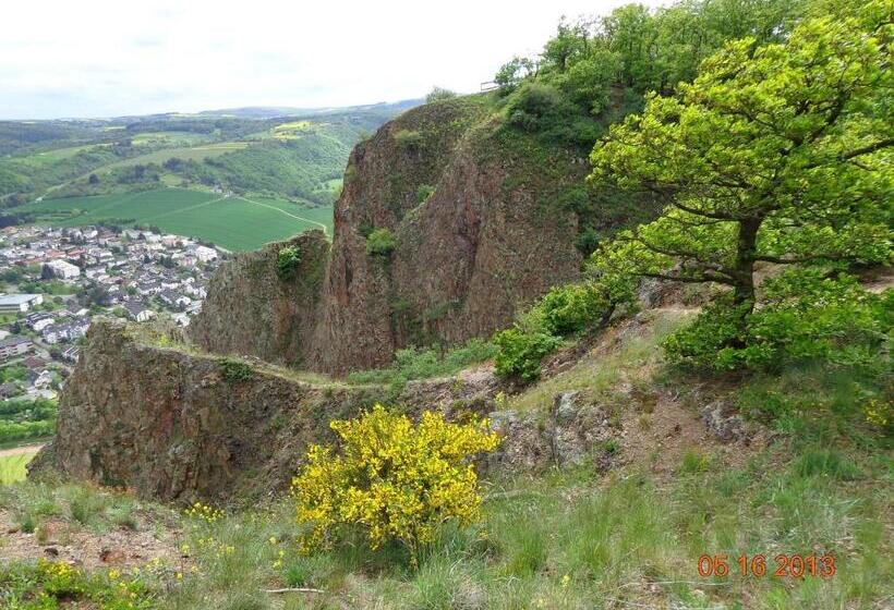 Отель Leo S Ruh