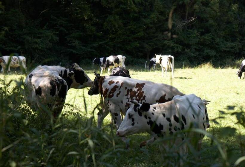 ホテル Maischeider Hof