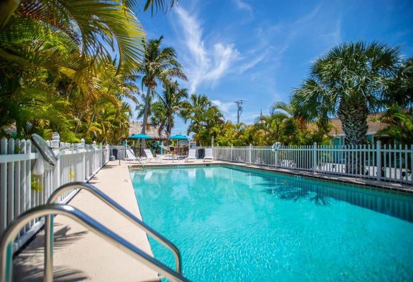 فندق My Sarasota Getaway