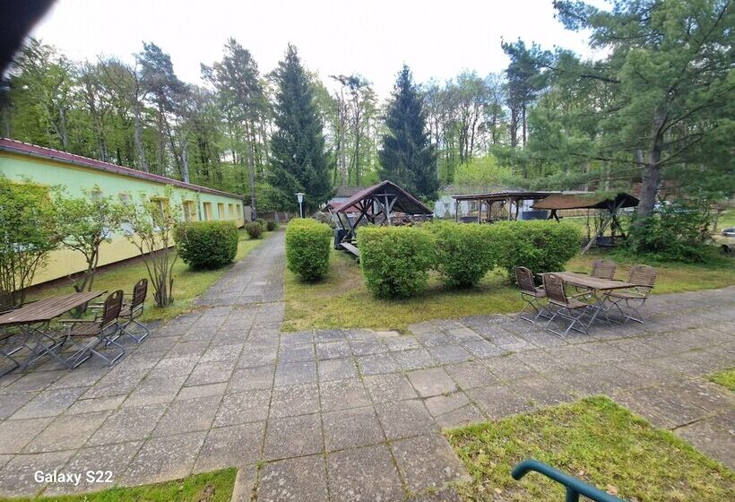 호텔 Pension Stechlinsee