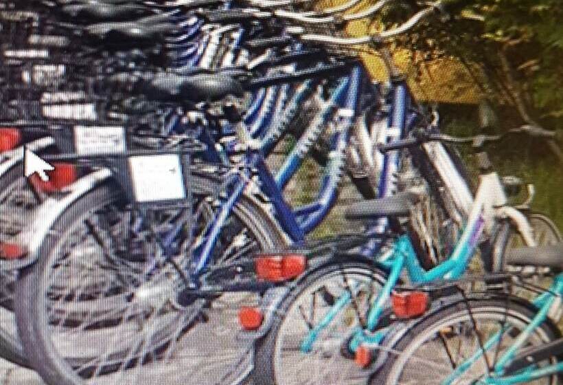 호텔 Pension Stechlinsee