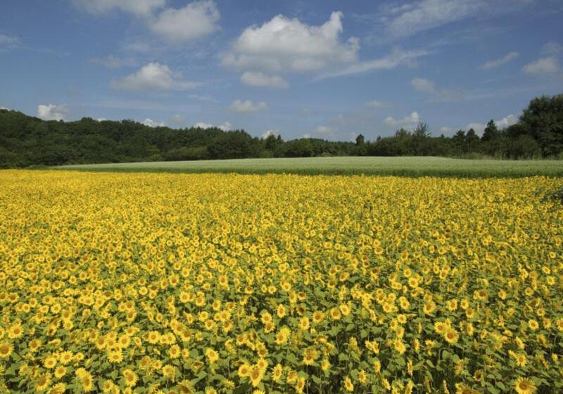 Smile Hotel Hachinohe