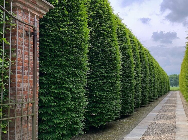 فندق Tenuta La Cascinetta