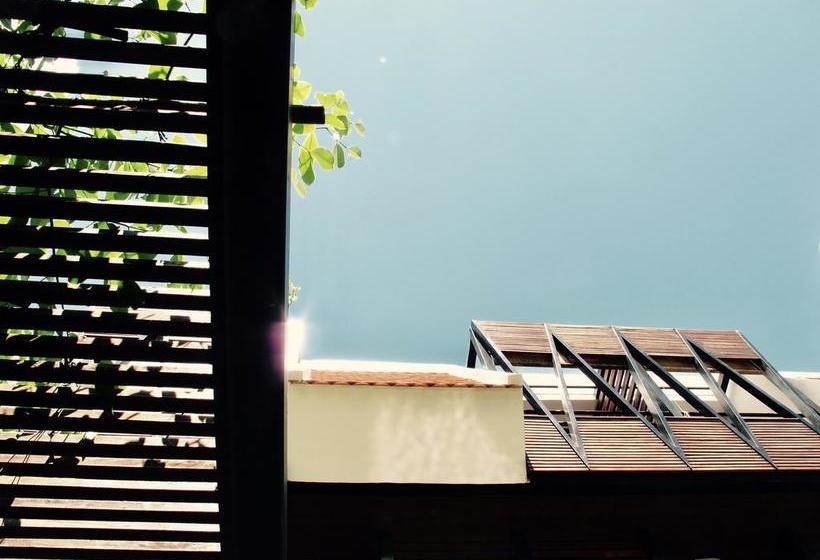 فندق The Butterfly Pea